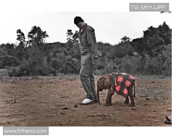 姚明携手抗击艾滋病倡导健康生活理念的公益广告解读 姚明携手抗击艾滋病倡导健康生活理念的公益广告解读